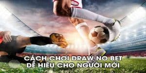 Kèo Draw No Bet - Hướng Dẫn Bắt Kèo Dành Cho Tân Thủ