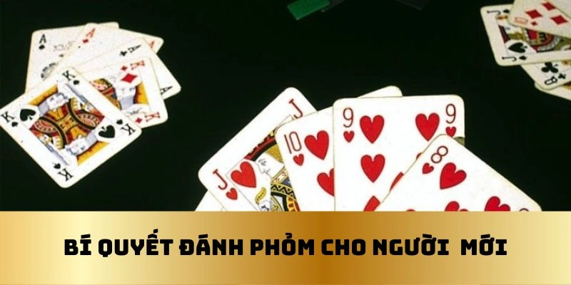 Một số kinh nghiệm đánh phỏm cao cấp